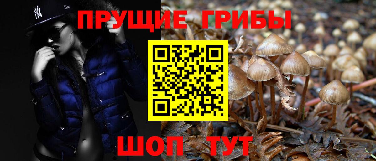Псилоцибиновые грибы прущие грибы Арзамас