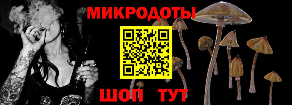 Арзамас  Галлюциногенные грибы мухоморы  Вход с VPN 